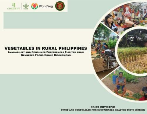 Vegetables in rural Philippines: Availability and consumer preferences elicited from gendered focus group discussions