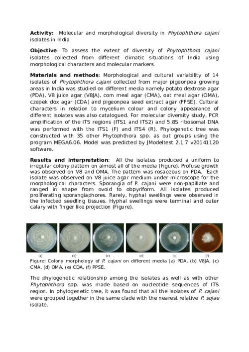 Molecular and morphological diversity in Phytophthora cajani isolates in India