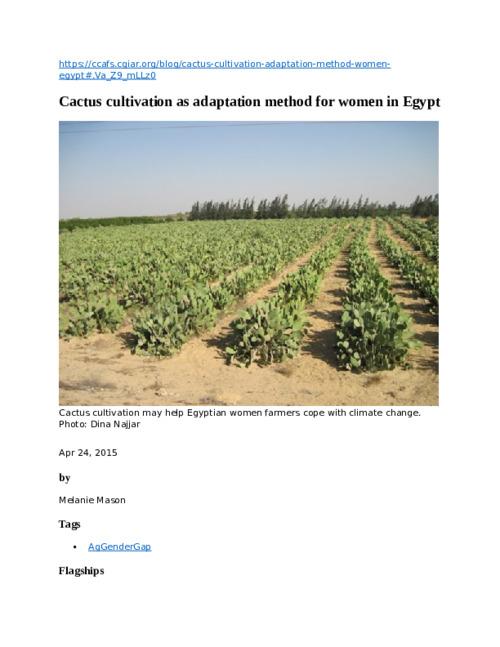 Cactus cultivation as adaptation method for women in Egypt