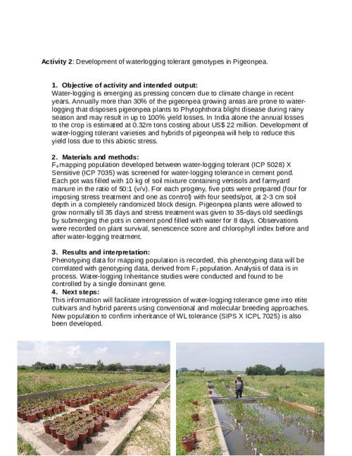 Development of waterlogging tolerant genotypes in pigeonpea