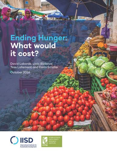 Ending hunger: What would it cost?