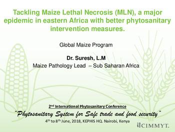 Tackling Maize Lethal Necrosis (MLN), a major epidemic in eastern Africa with better phytosanitary intervention measures.