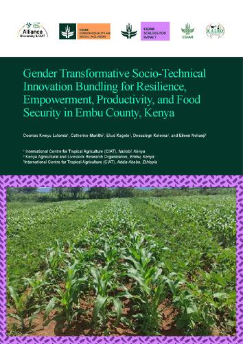 Gender transformative socio-technical innovation bundling for resilience, empowerment, productivity, and food security in Embu County, Kenya