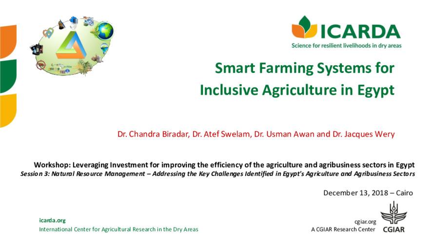 Smart Farming Systems for Inclusive Agriculture in Egypt
