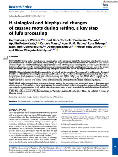 Histological and biophysical changes of cassava roots during retting, a key step of fufu processing