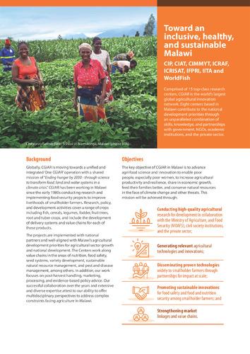 Toward an inclusive, healthy, and sustainable Malawi. CIP, CIAT, CIMMYT, ICRAF, ICRISAT, IFPRI, IITA and WorldFish