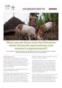 What can we learn from the literature about livestock interventions and women's empowerment?