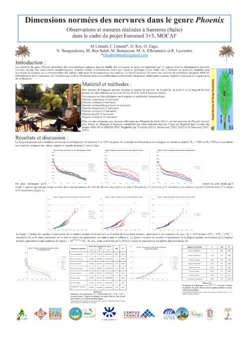 Dimensions normées des nervures dans le genre Phoenix - Observations et mesures réalisées à Sanremo (Italie) dans le cadre du projet Euromed 3+3, MOCAF