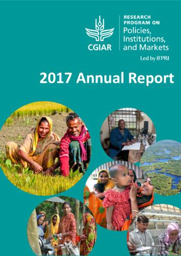 PIM 2017 annual report