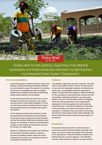 Quality seed for tree planting: Supporting more effective agroforestry and forest landscape restoration by learning from crop Integrated Seed System Development
