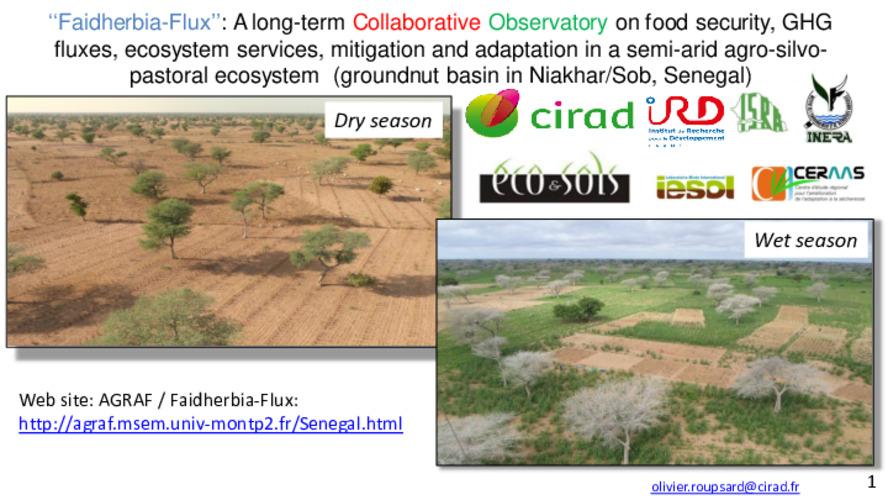‘‘Faidherbia-Flux’’: A long-term Collaborative Observatory on food security, GHG fluxes, ecosystem services, mitigation and adaptation in a semi-arid agro-silvo-pastoral ecosystem (groundnut basin in Niakhar/Sob, Senegal)