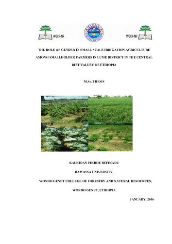 The role of gender in small scale irrigation agriculture among smallholder farmers in Lume District in the Central Rift Valley of Ethiopia