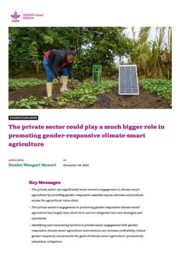 The private sector could play a much bigger role in promoting gender-responsive climate-smart agriculture