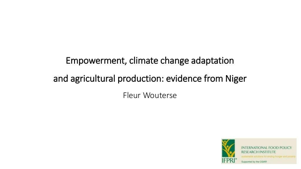 Empowerment, climate change adaptation, and agricultural production: evidence from Niger