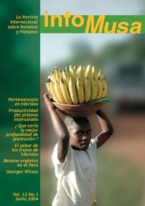 Infomusa: La revista internacional sobre bananos y plátanos: Vol. 13(1)