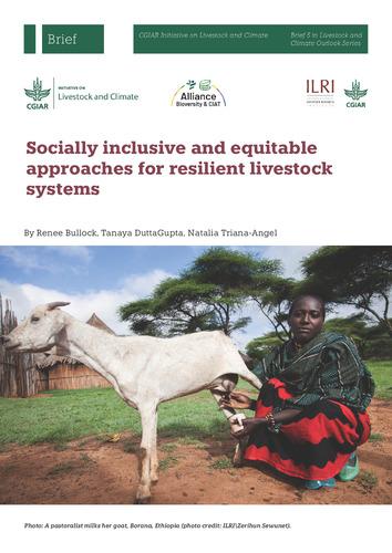 Socially inclusive and equitable approaches for resilient livestock systems