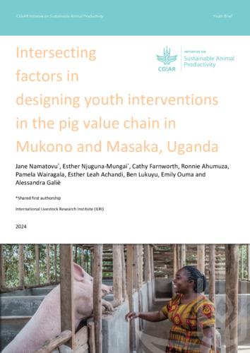 Intersecting factors in designing youth interventions in the pig value chain in Mukono and Masaka, Uganda