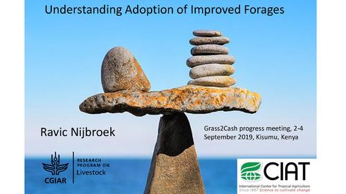 Understanding Adoption of Improved Forages