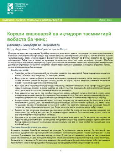 Gendered farm work and decision-making: Quantitative evidence from Tajikistan