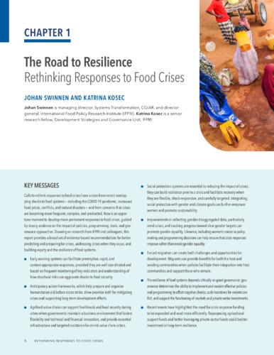 The road to resilience: Rethinking responses to food crises