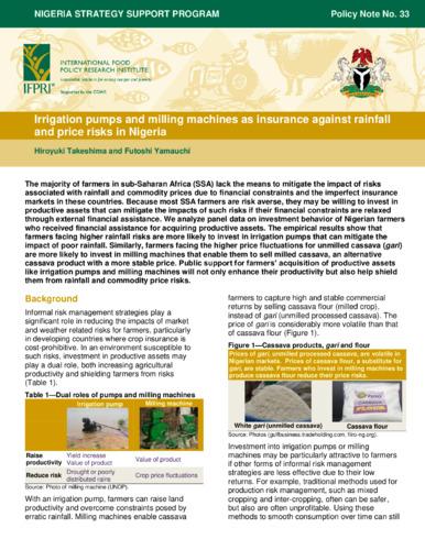 Irrigation pumps and milling machines as insurance against rainfall and price risks in Nigeria