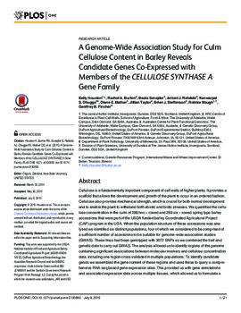 A Genome-Wide Association study for culm cellulose content in barley reveals candidate genes co-expressed with members of the CELLULOSE SYNTHASE A gene family