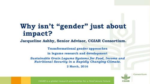 Why isn't gender just about impact?