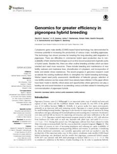 Genomics for greater efficiency in pigeonpea hybrid breeding