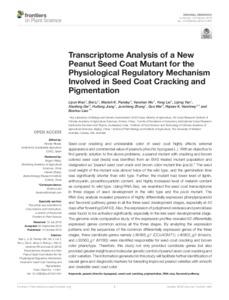 Transcriptome Analysis of a New Peanut Seed Coat Mutant for the Physiological Regulatory Mechanism Involved in Seed Coat Cracking and Pigmentation