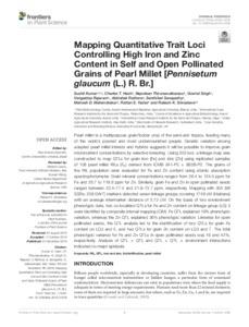 Mapping Quantitative Trait Loci Controlling High Iron and Zinc Content in Self and Open Pollinated Grains of Pearl Millet (Pennisetum glaucum (L.) R. Br.)