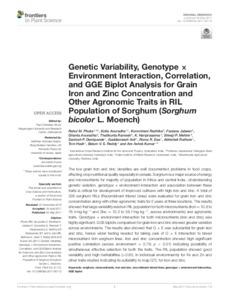 Genetic Variability, Genotype × Environment Interaction, Correlation, and GGE Biplot Analysis for Grain Iron and Zinc Concentration and Other Agronomic Traits in RIL Population of Sorghum (Sorghum bicolor L. Moench)