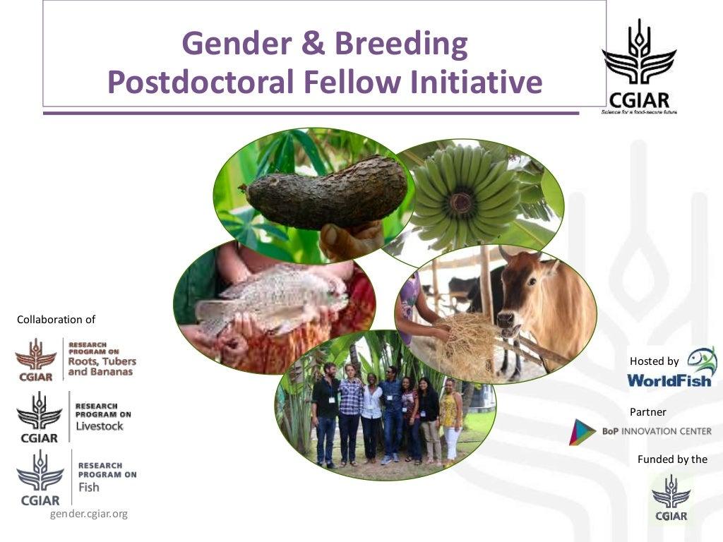 Gender and breeding postdoctoral fellow initiative