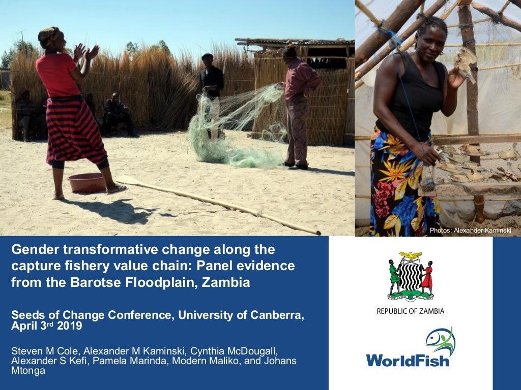 Gender transformative change along the capture fishery value chain: Panel evidence from the Barotse Floodplain, Zambia