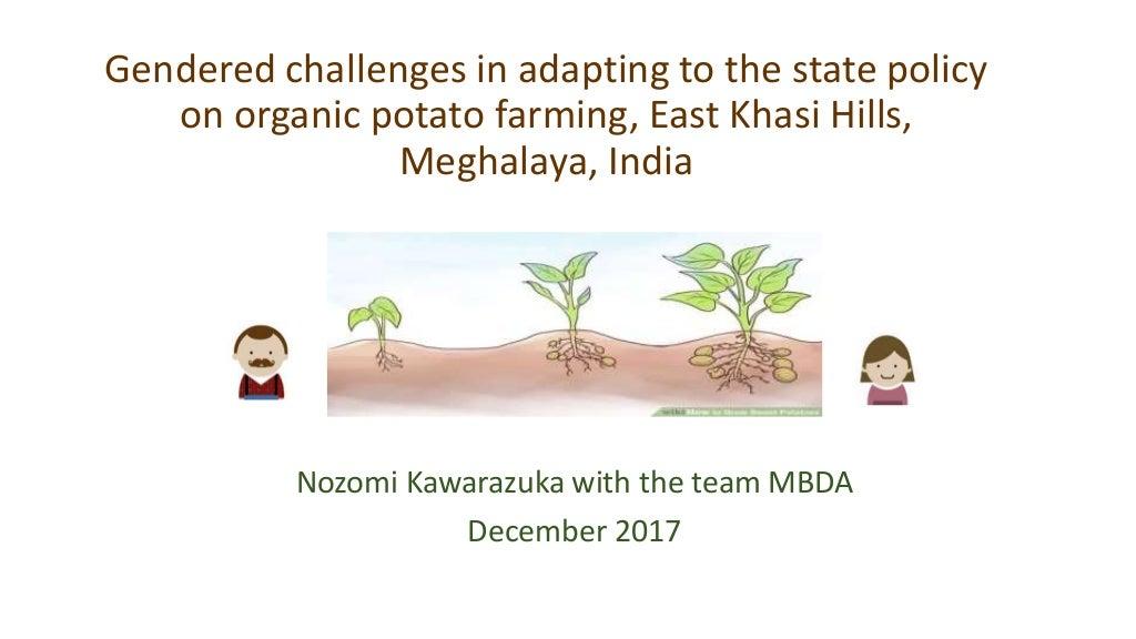 Gendered challenges in adapting to the state policy on organic potato farming, East Khasi Hills, Meghalaya, India