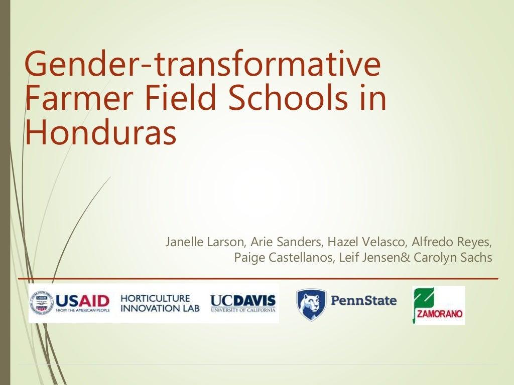Gender-transformative farmer field schools in Honduras