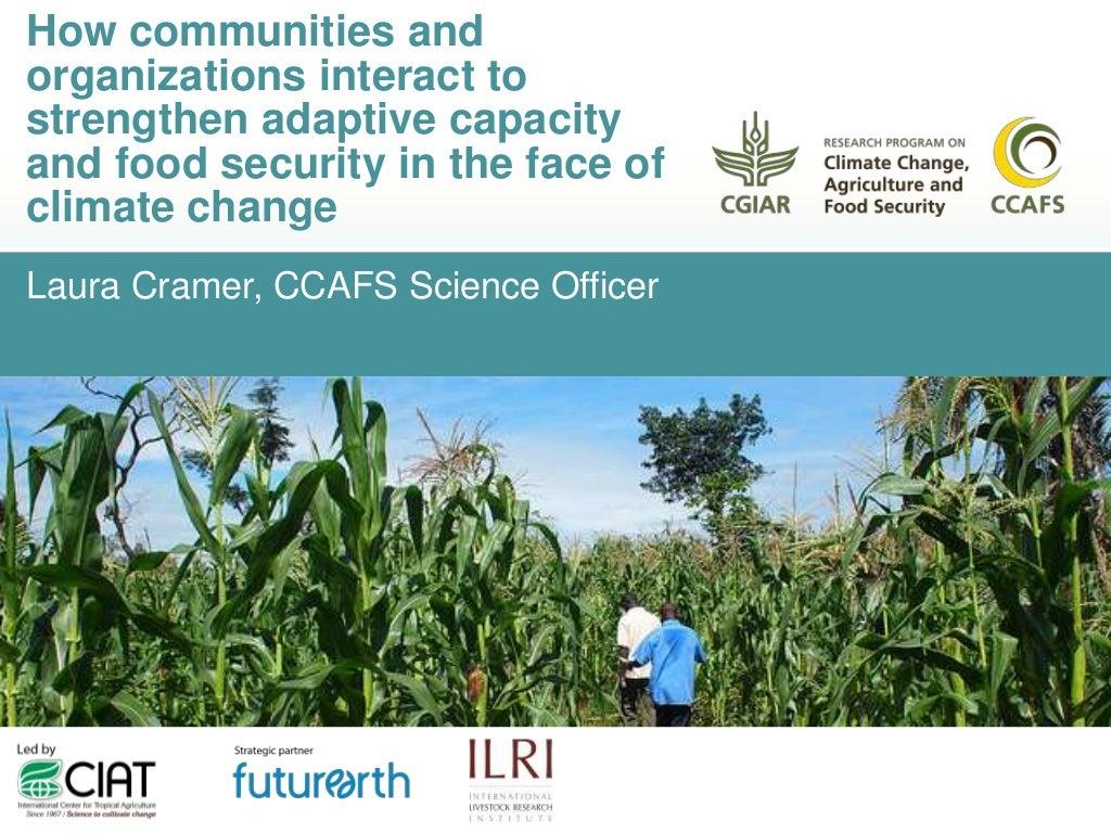How communities and organizations interact to strengthen adaptive capacity and food security in the face of climate change