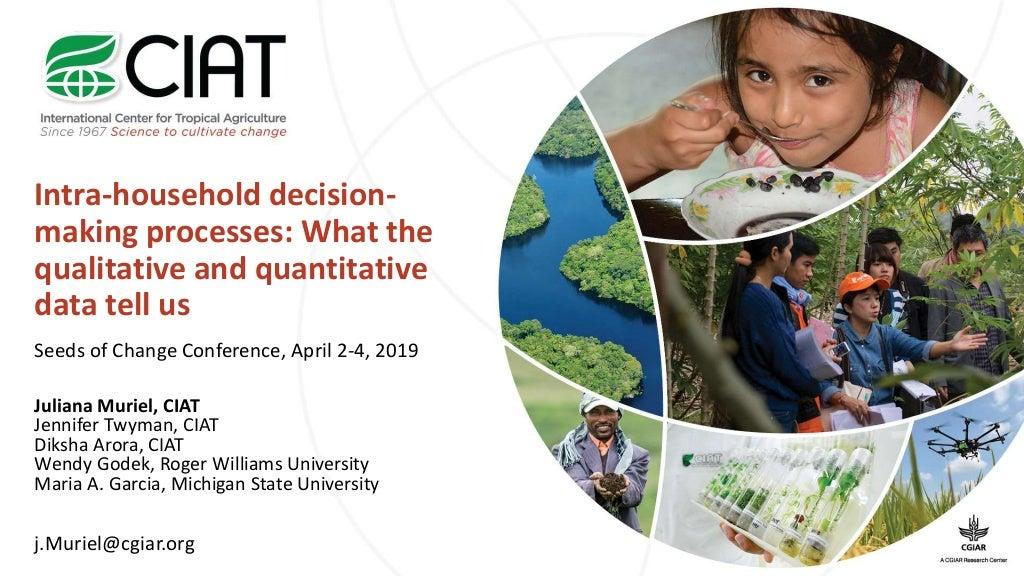 Intra-household decision-making processes: What the qualitative and quantitative data tell us