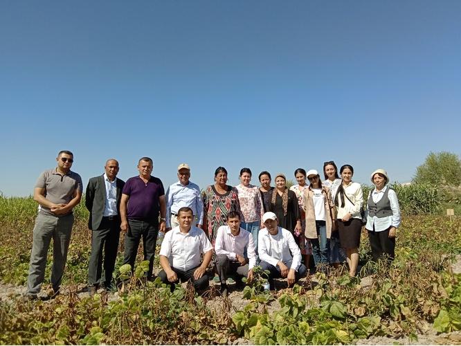 A group of observants consisting of researchers from ICARDA and KRASS, farmers of Khorezm visited to mungbean field
