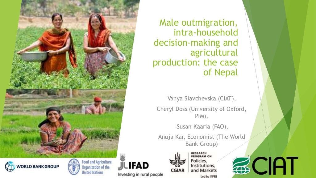 Male outmigration, intra-household decision-making and agricultural production: the case of Nepal