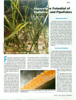 Aquaculture potential of seahorses and pipefishes