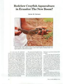 Redclaw crayfish aquaculture in Ecuador: the new boom?