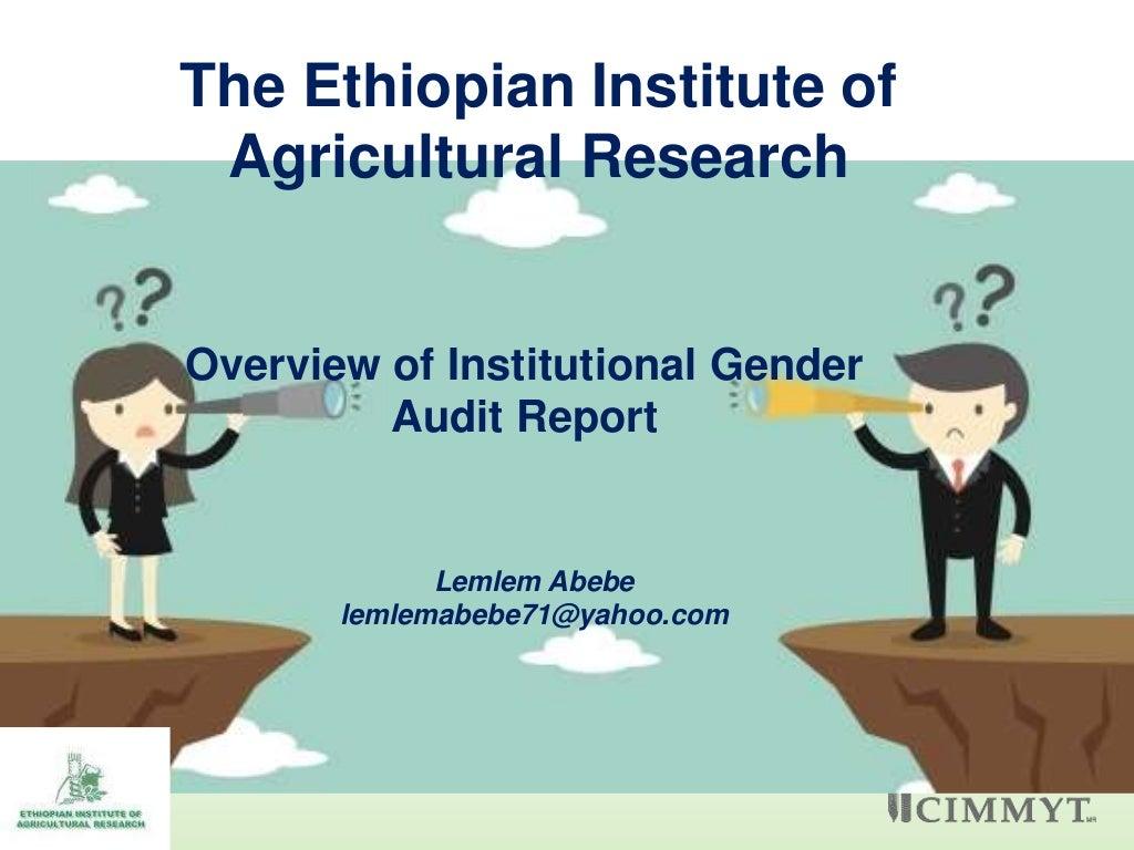 Overview of institutional gender audit report
