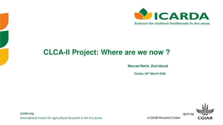 CLCA-II Project: Where are we now ?