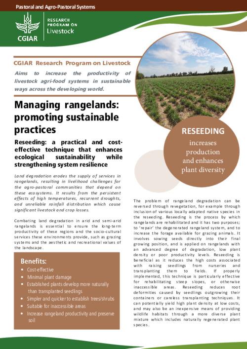 Managing rangelands: promoting sustainable practices: Reseeding: a practical and costeffective technique that enhances ecological sustainability while strengthening system resilience