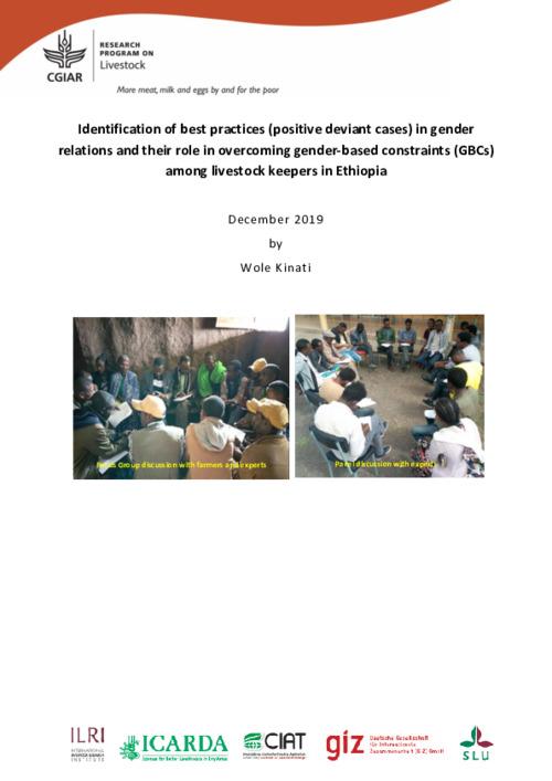 Identification of best practices (positive deviant cases) in gender relations and their role in overcoming gender-based constraints (GBCs) among livestock keepers in Ethiopia
