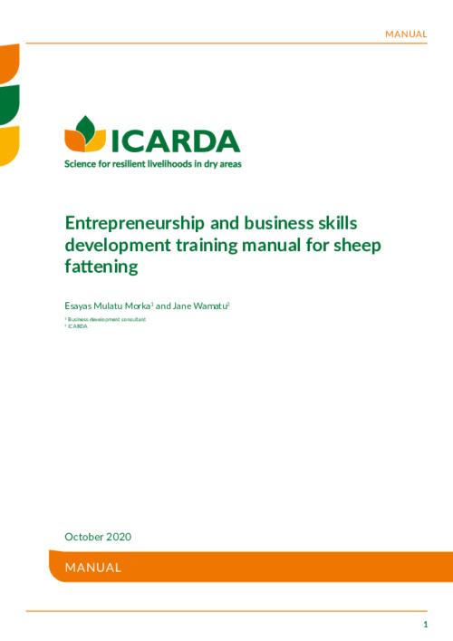 Entrepreneurship and Business Skills Development Training Manual