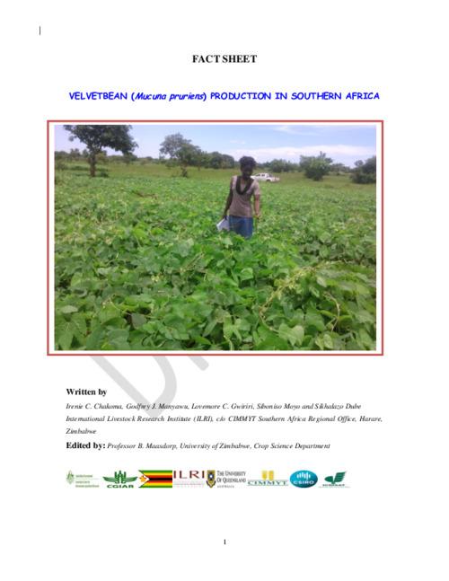 Velvetbean (Mucuna Pruriens) Production in Southern Africa