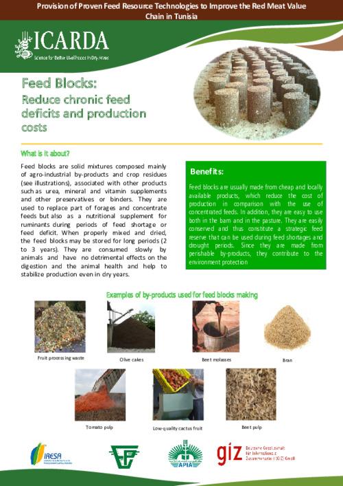 Feed Blocks: Reduce chronic feed deficits and production costs