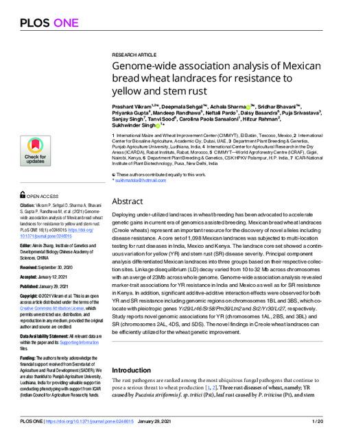 Genome-wide association analysis of Mexican bread wheat landraces for resistance to yellow and stem rust