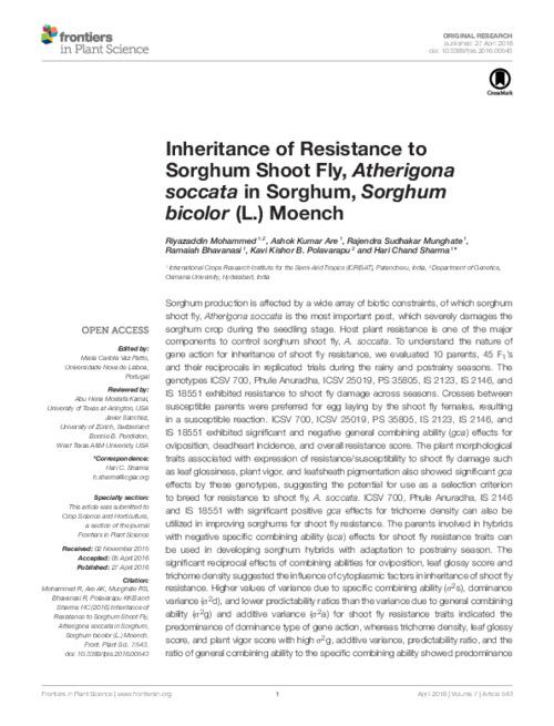 Inheritance of Resistance to Sorghum Shoot Fly, Atherigona soccata in Sorghum, Sorghum bicolor (L.) Moench